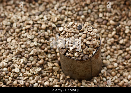 Grains de café non torréfiés dans une vieille boîte, avec grains de café comme arrière-plan.Vente sur un marché agricole local, île de Flores, Indonésie Banque D'Images