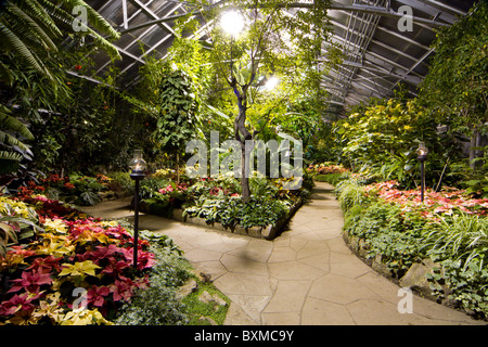 Allan Gardens Conservatory toronto ontario canada intérieur Banque D'Images