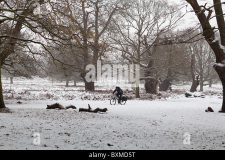 Cycliste à Richmond Park, Richmond upon Thames, Surrey, Angleterre Banque D'Images