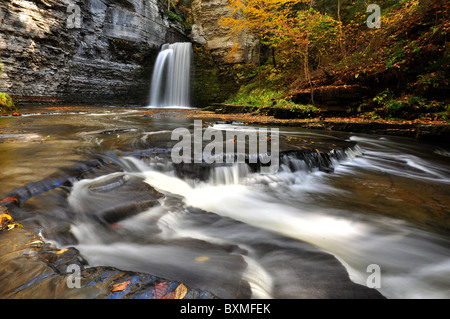 Eagle Cliff Falls à l'automne, la région de Finger Lakes. Banque D'Images