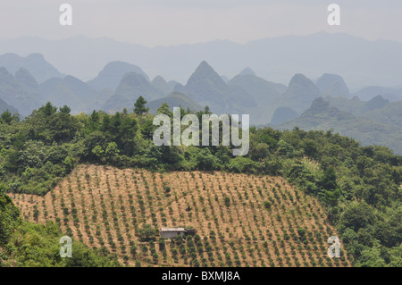 Vue imprenable sur le paysage dans la région de Guilin, Chine du Sud Banque D'Images