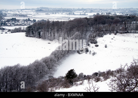 L'hiver les hêtres à Zig Zag Hill, sur Charlton près de Shaftesbury, dans le Dorset, Angleterre. Banque D'Images