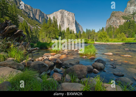 Merced River et l'énorme El Capitan en arrière-plan, Yosemite National Park Banque D'Images