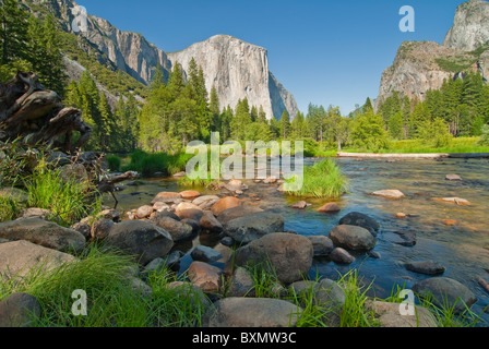 Merced River et l'énorme El Capitan en arrière-plan, Yosemite National Park Banque D'Images