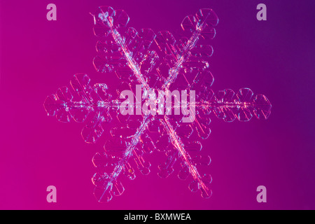 Extreme close-up photo d'un vrai flocon, tourné avec clignote de couleur sur un fond coloré. Banque D'Images