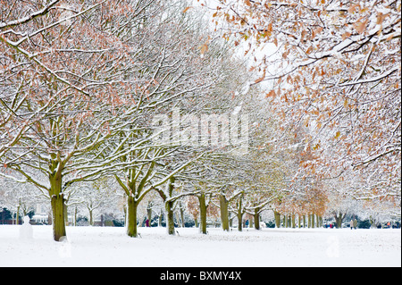 Parc Walpole couvertes de neige, Ealing, London, United Kingdom Banque D'Images