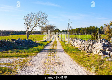 Petit pays lane sur Gotland, Suède. Banque D'Images