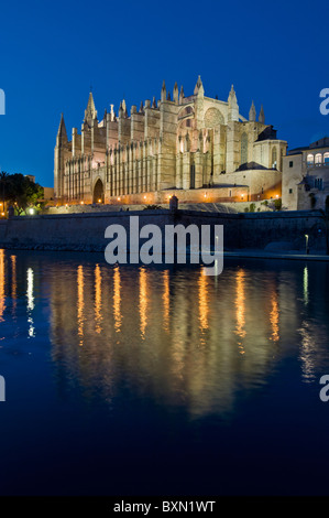 La cathédrale de Palma dans la nuit avec l'Almudaina Parc de La Mar Palma de Majorque Îles Baléares Espagne Banque D'Images