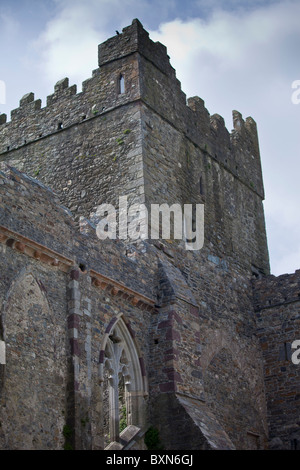 Abbaye de Tintern 12ème siècle, autrefois une abbaye cistercienne, dans le comté de Wexford construit par comte de Pembroke en 1200, l'Irlande Banque D'Images