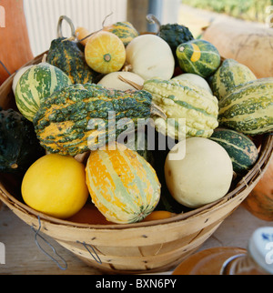 Un panier de courges décoratives AU STAND DE LÉGUMES HABERSHAM. HABERSHAM Comté (Géorgie) Banque D'Images