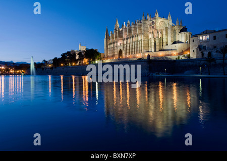 La cathédrale de Palma Mallorca de nuit avec le palais de l'Almudaina Parc de La Mar Palma de Majorque Îles Baléares Espagne Banque D'Images