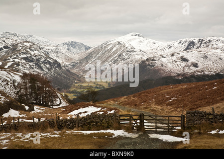 Paysage de Borrowdale dans Cumbria Banque D'Images