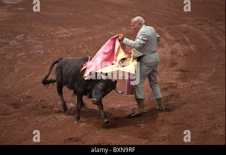 Personnes âgées un torero combat un taureau au cours d'une corrida dans la ville de Mexico, le 13 septembre 2008. Banque D'Images