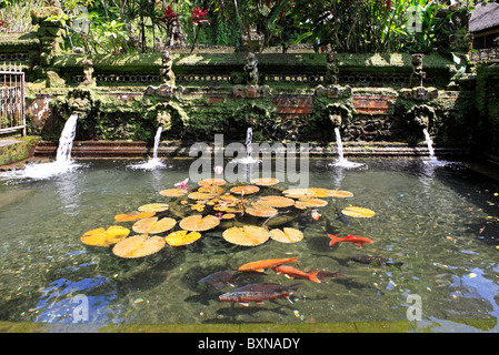 L'une des 7 piscines extérieures offrant de l'eau bénite ou baignade à Pura Gunung Kawi Sebatu Temple, Tegallelang. Près d'Ubud. Bali, Indonésie Banque D'Images