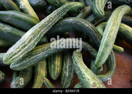 Concombres anglais cultivés localement vendus au marché de fermiers dans la région de Charlottesville, Virginie Banque D'Images