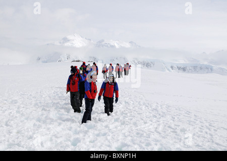 Les touristes avec veste rouge marche dans la pointe Damoy, Île Wiencke, archipel Palmer, de l'Antarctique Banque D'Images