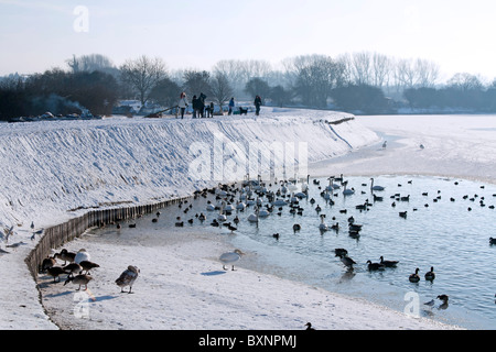 Frozen Tring Réservoirs - Buckinghamshire Banque D'Images