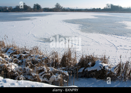 Frozen Tring Réservoirs - Buckinghamshire Banque D'Images