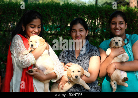 Trois jeunes filles tenant des chiots golden retriever Banque D'Images