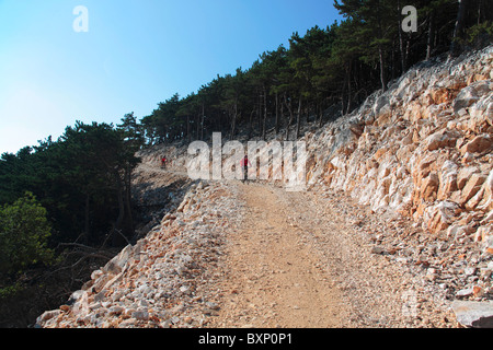 Les cyclistes sur une route de gravier menant au mont Osorscica à Losinj, Croatie Banque D'Images