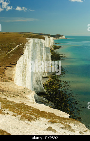 Les falaises de craie blanche de Seven Sisters, Angleterre, Royaume-Uni Banque D'Images