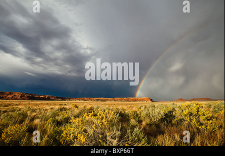 Un arc-en-ciel et nuages de tempête sur le désert du sud-est de l'Utah, près de Canyonlands National Park, USA. Banque D'Images