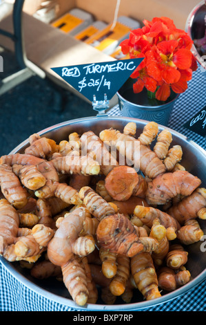 Le curcuma rouge tubercules pour vendre à un marché de producteurs Banque D'Images