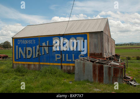 Vieille publicité de médicaments brevetés sur le côté d'une grange à la campagne à Morpeth près de Cessnock en Nouvelle-Galles du Sud Banque D'Images