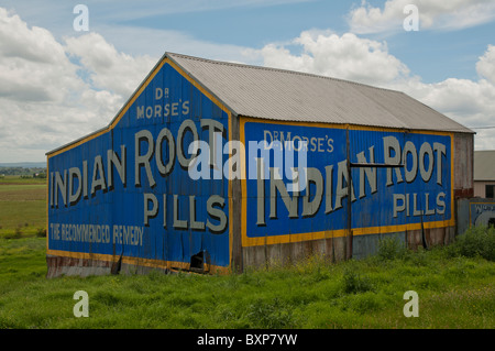 Vieille publicité de médicaments brevetés sur le côté d'une grange à la campagne à Morpeth près de Cessnock en Nouvelle-Galles du Sud Banque D'Images