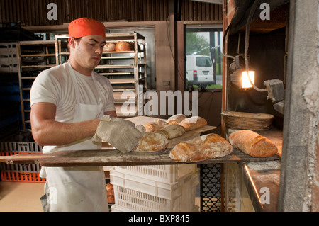 Sourdough artisan boulanger dépose du pain frais à partir d'un four woodfired Banque D'Images