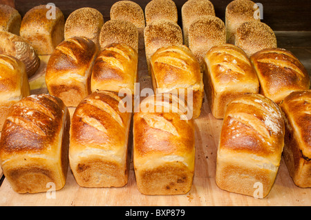 Miches de pain à peine sorti d'un four woodfired Banque D'Images