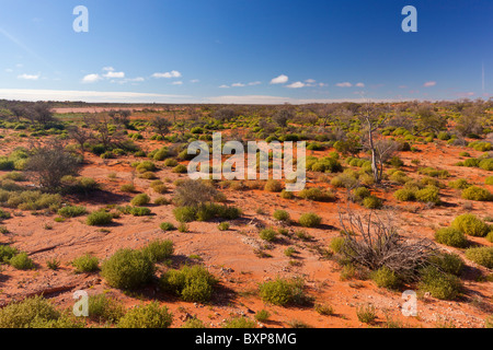 Désert de sable rouge sur la route entre pays Roxby Downs et Bopechee dans l'outback d'Australie du Sud Banque D'Images