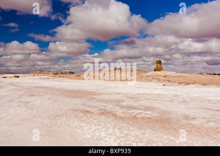 Appartements près de sel Blanche Tasse Mound ressort sur l'Oodnadatta Track dans l'Outback de l'Australie du Sud Banque D'Images