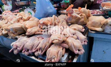 Poulets à vendre dans la rue à Hanoi Banque D'Images