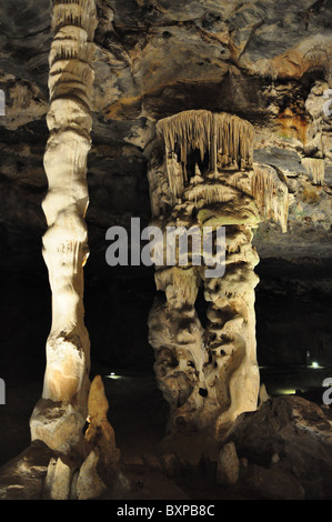 Formations en calcaire Cango Caves, Oudtshoorn, Afrique du Sud Banque D'Images
