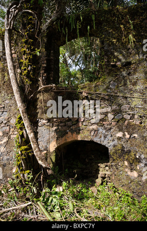 Les murs en ruine à l'île de Bunce, en Sierra Leone. Banque D'Images