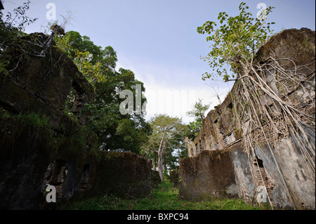 Les murs en ruine à l'île de Bunce, en Sierra Leone. Banque D'Images