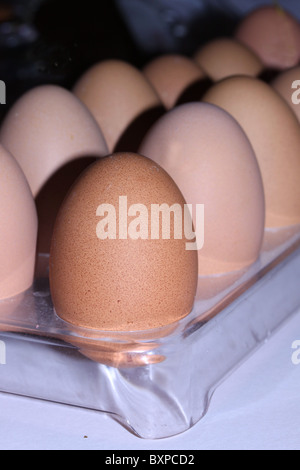 Oeufs dans un bac, Brown heureux d'œufs, de l'omble, doux, frais, oeufs, oeufs de poule, de l'élevage de poulet, bio, sain, protéine Banque D'Images