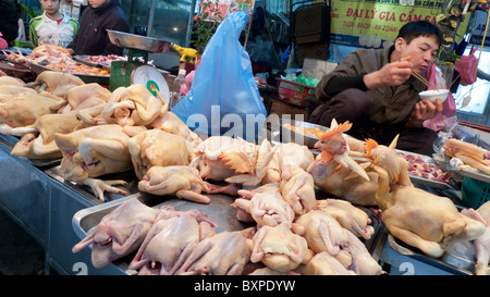 Poulets à vendre dans la rue à Hanoi Banque D'Images