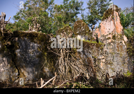 Les murs en ruine à l'île de Bunce, en Sierra Leone. Banque D'Images