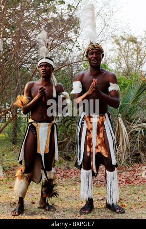 Chanteurs tribaux à danser à Victoria Falls au Zimbabwe. Banque D'Images