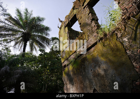 Les murs en ruine à l'île de Bunce, en Sierra Leone. Banque D'Images