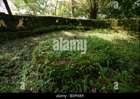 Les murs en ruine à l'île de Bunce, en Sierra Leone. Banque D'Images