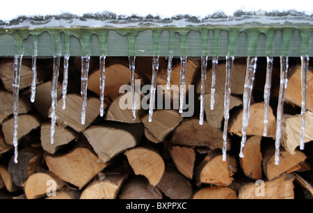 Stalactites sur log store Banque D'Images