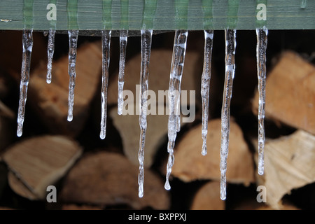 Stalactites sur log store Banque D'Images