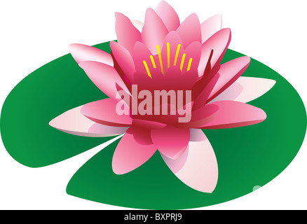 Illustration d'un lotus rose flottant sur une feuille de nénuphar, isolé sur un fond blanc. Banque D'Images