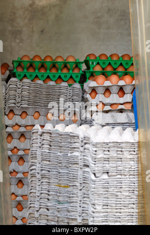 Oeufs dans le dos d'un camion de livraison. Brown oeufs dans des plateaux en plastique et papier sont empilés à l'arrière du camion. Banque D'Images