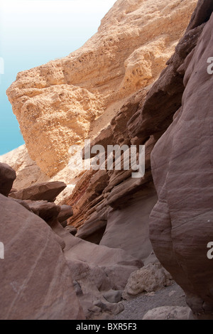 Red Canyon désert du Néguev, dans le sud d'Israël. Banque D'Images