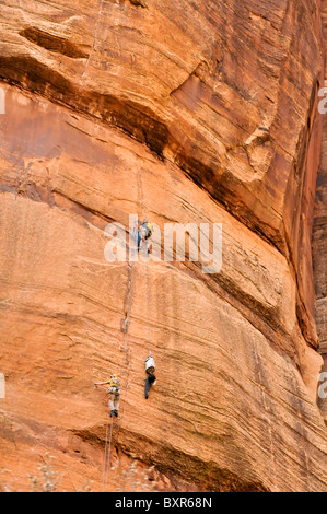 Grimpeurs en Sion, Canyon, Zion National Park, Utah Banque D'Images