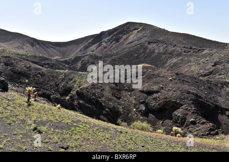 L'intérieur d'El Pinacate, cône de cendres de la Réserve de biosphère El Pinacate, Sonora, Mexique Banque D'Images